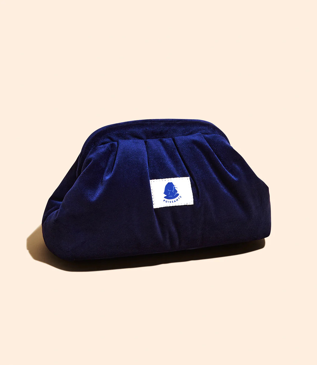 Puissante-Vanity-Bag