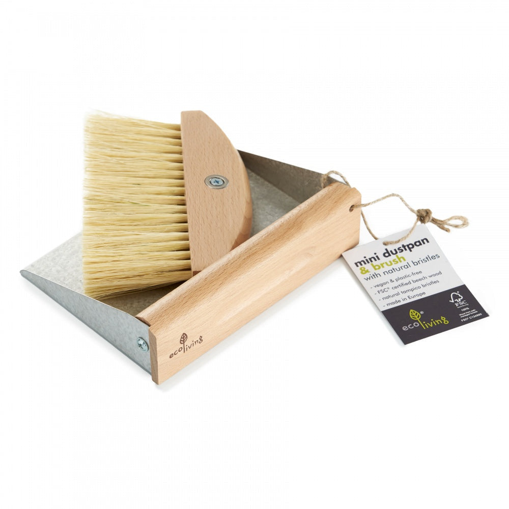 Eco-friendly and compact cleaning duo, perfect for efficient and sustainable tidying