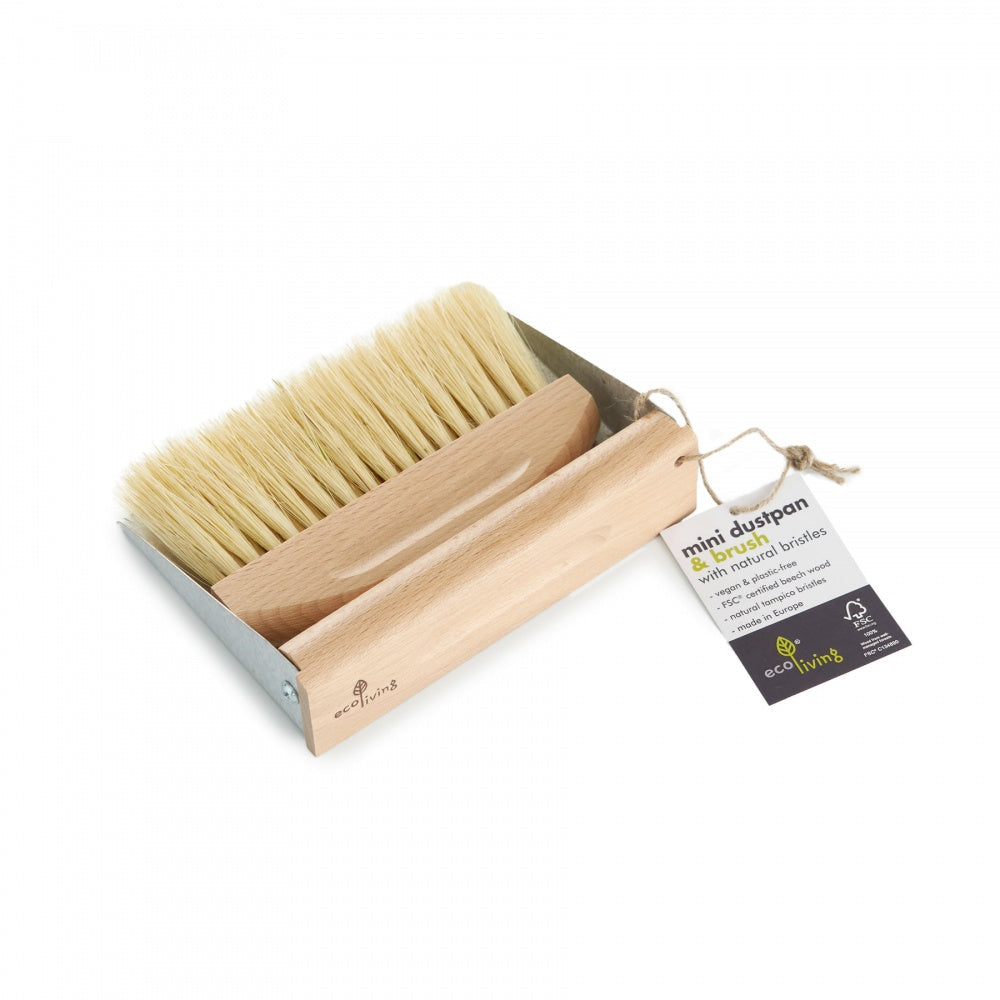 Eco-friendly and compact cleaning duo, perfect for efficient and sustainable tidying