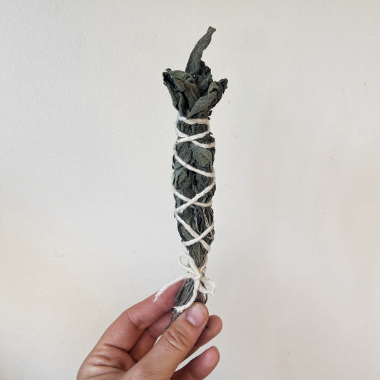 Dried Sage Stick - Natural aroma for cleansing ideal for rituals and creating a calming atmosphere