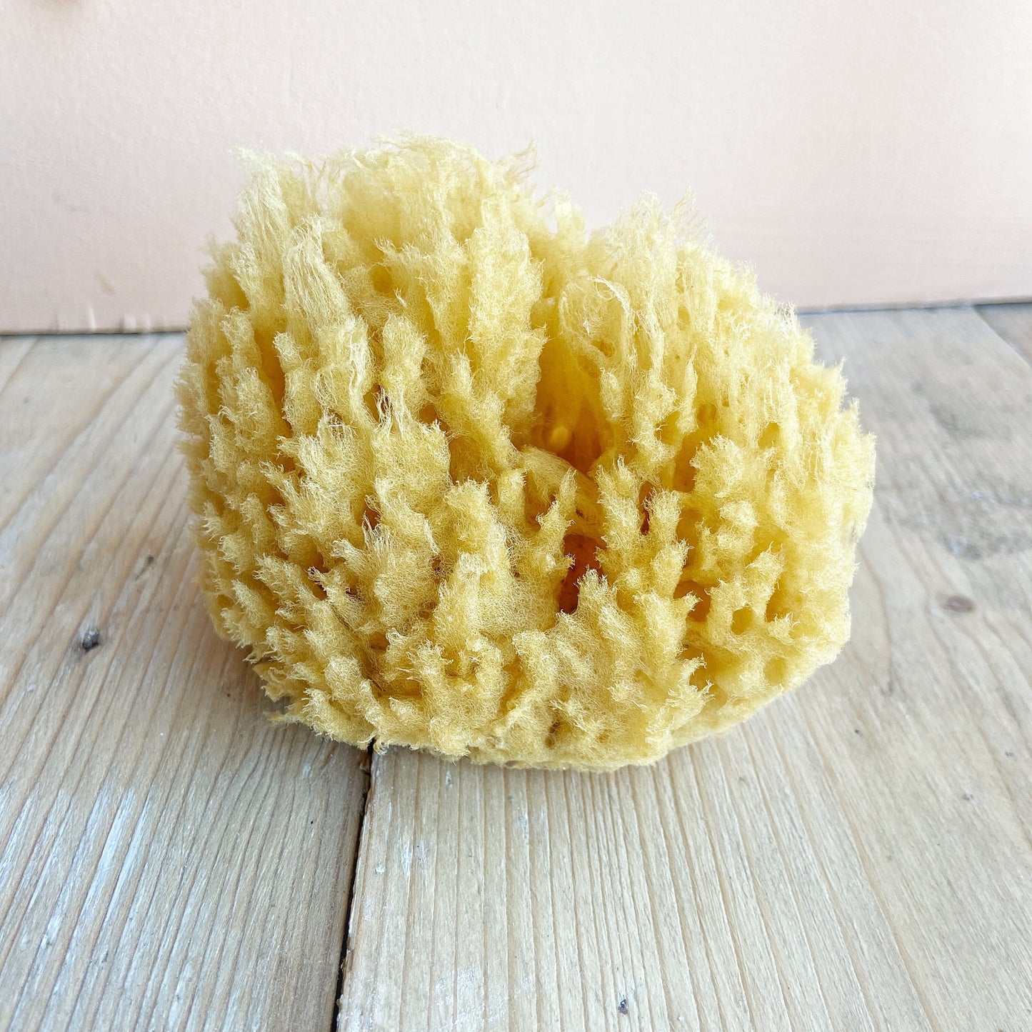 Natural Sponge 9cm - Eco-friendly and soft sponge for gentle and sustainable skincare